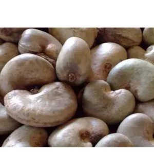 Raw Cashew Nuts