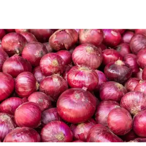 ONION - Image 2