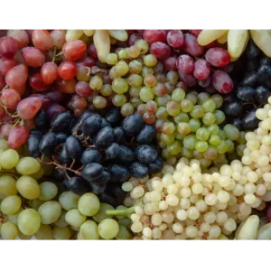 GRAPES - Image 2