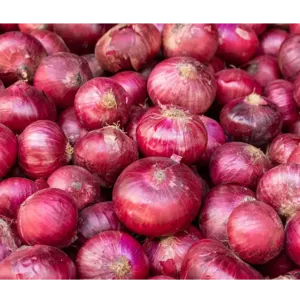 ONION - Image 2