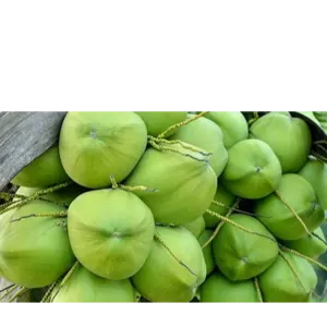 tender coconut - Image 2