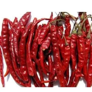 Dry Red Chilly by Dwarkadhish Trading Co