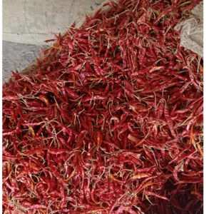 Dry Red Chilly - Image 2