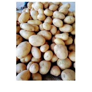Potato