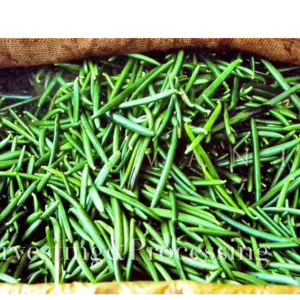 Vanilla Beans - Image 2