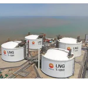 Gas / LNG