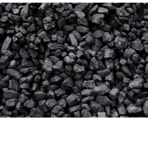 Coal - Image 2