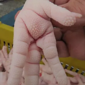 Frozen Chicken Paw 30g Up - Image 2