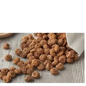 Tiger nut