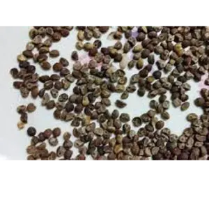 Herbal seeds