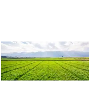 Agriculture Lands & Farms