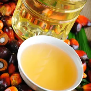 Palm Oil - Image 2