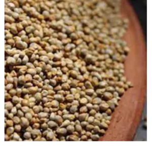 BAJRA by SABIA OVERSEAS LLP