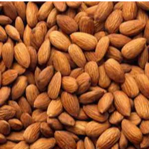 Almond by Swift Thirty-Six Enterprises Ltd