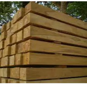 Benin Teak Wood Rough Square Logs
