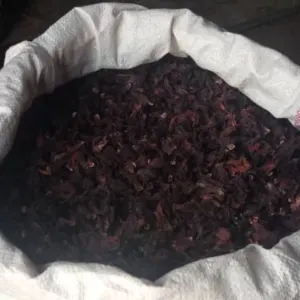 Hibiscus Flower - Image 3
