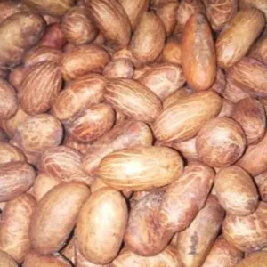 KOLA NUT - Image 3