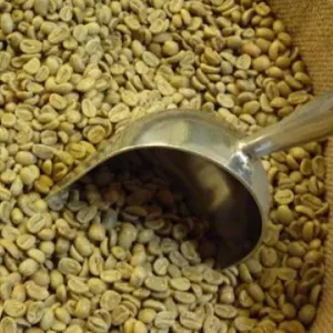 ARABICA AND ROBUSTA COFFEE BEANS, GREEN COFFEE BEANS by Swift Thirty-Six Enterprises Ltd