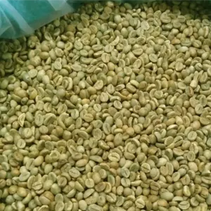ARABICA AND ROBUSTA COFFEE BEANS, GREEN COFFEE BEANS - Image 2