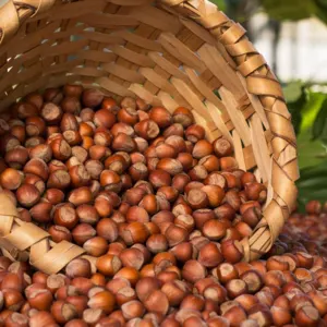 Hazelnut