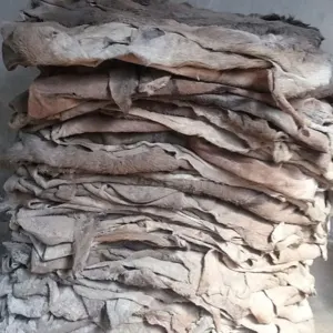 Wet Salted Cow Hides For Export - Image 2
