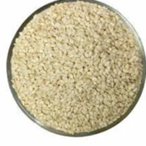 Sesame Seeds by Makfash Investments Pvt Ltd