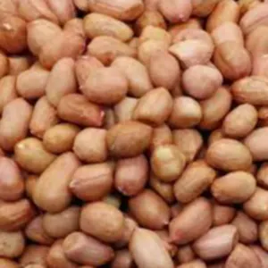 Peanuts by Makfash Investments Pvt Ltd