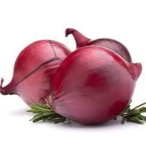 ONION by ALIYA AGRO FOOD EXPORTER