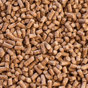 Biomass Pellets