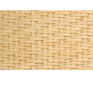 Closed Cane webbing