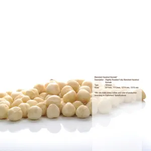 Turkish Hazelnut