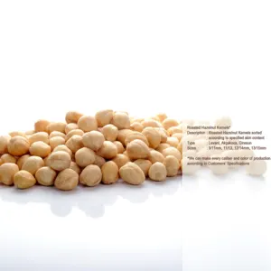 Turkish Hazelnut - Image 2