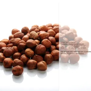 Turkish Hazelnut - Image 3