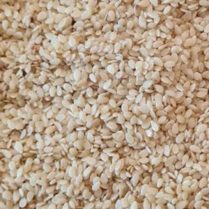 Sesame