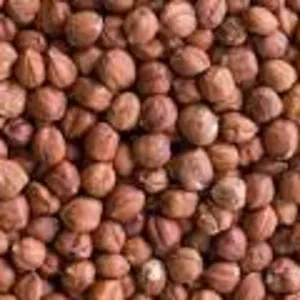 Hazelnut kernels
