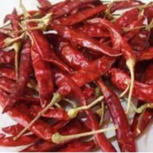 Dried Red Chillies by Shree Venkatesh Corporation