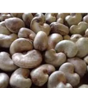 RAW CASHEW NUT by Alpha Trade import export