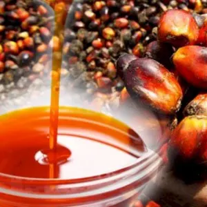 refined palm oil by AYAZ AVİZE TİCARET LİMİTED ŞİRKETİ