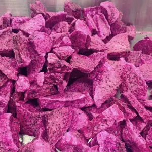 Elevate Your Snack Game With Our High-Quality, Freeze-Dried Dragon Fruit Cubes - Image 2