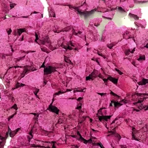 Elevate Your Snack Game With Our High-Quality, Freeze-Dried Dragon Fruit Cubes - Image 3