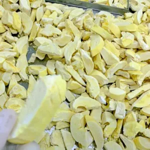 Experience the Fresh and Nutritious Tropical Fruit with Freeze-Dried Durian - Image 2