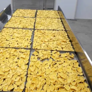 Stay Fresh for Longer - Freeze Dried Jackfruit from FruitBuys Vietnam with Shelf Life of 12 Months without Preservatives.