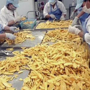 Freeze-Dried Mango With No Sugar Added, Perfect For Weight Loss Goals. - Image 3