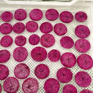 Free Sample: Try FruitBuys' Dried Dragon Fruit & Experience the Deliciousness - Image 2