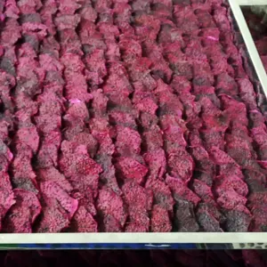 Free Sample: Try FruitBuys' Dried Dragon Fruit & Experience the Deliciousness - Image 3