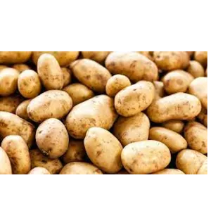Potato’s by Dr.nain brothers oceanic foods private limited.