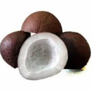 Dried coconut