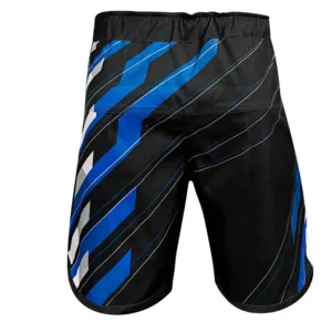 MMA Shorts - Image 2