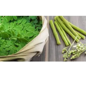 Moringa
