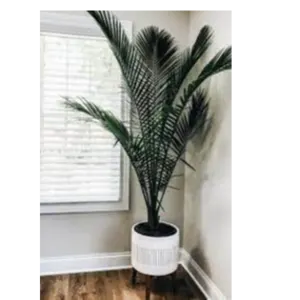 Palm Tree by Ittefaq Asia Gen Trd & Cont Co. - Luxex General Trading Co. - B&H enterprise